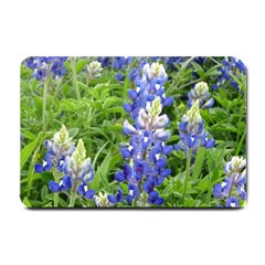 Blue Bonnets Small Doormat 