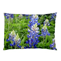 Blue Bonnets Pillow Case