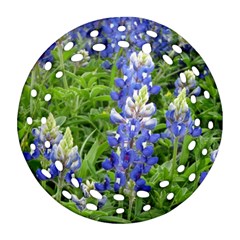 Blue Bonnets Ornament (round Filigree)