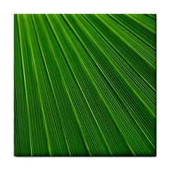 Green Lines Macro Pattern Tile Coasters