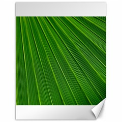 Green Lines Macro Pattern Canvas 12  X 16  