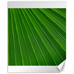 Green Lines Macro Pattern Canvas 16  X 20   by Amaryn4rt