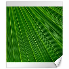 Green Lines Macro Pattern Canvas 20  X 24  