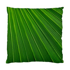 Green Lines Macro Pattern Standard Cushion Case (one Side) by Amaryn4rt