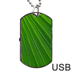 Green Lines Macro Pattern Dog Tag Usb Flash (one Side)