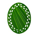 Green Lines Macro Pattern Oval Filigree Ornament (Two Sides) Back