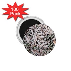 Ice Leaves Frozen Nature 1 75  Magnets (100 Pack)  by Amaryn4rt