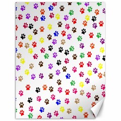 Paw Prints Background Canvas 12  X 16  