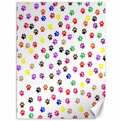 Paw Prints Background Canvas 36  X 48  