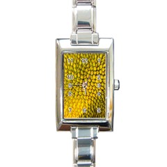 Jack Shell Jack Fruit Close Rectangle Italian Charm Watch