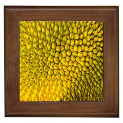 Jack Shell Jack Fruit Close Framed Tiles