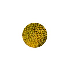 Jack Shell Jack Fruit Close 1  Mini Buttons by Amaryn4rt