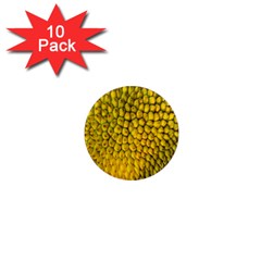 Jack Shell Jack Fruit Close 1  Mini Magnet (10 Pack)  by Amaryn4rt