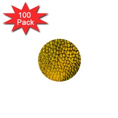 Jack Shell Jack Fruit Close 1  Mini Buttons (100 Pack)  by Amaryn4rt