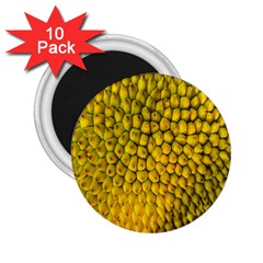 Jack Shell Jack Fruit Close 2 25  Magnets (10 Pack) 