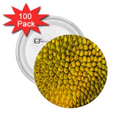 Jack Shell Jack Fruit Close 2 25  Buttons (100 Pack) 