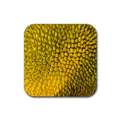 Jack Shell Jack Fruit Close Rubber Coaster (square) 