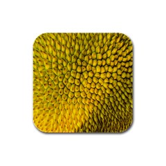 Jack Shell Jack Fruit Close Rubber Square Coaster (4 Pack) 