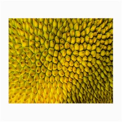 Jack Shell Jack Fruit Close Small Glasses Cloth