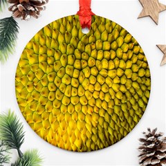 Jack Shell Jack Fruit Close Round Ornament (two Sides) by Amaryn4rt