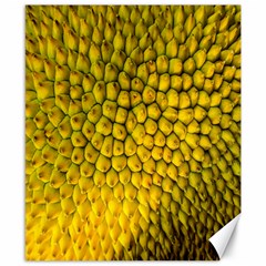 Jack Shell Jack Fruit Close Canvas 8  X 10  by Amaryn4rt