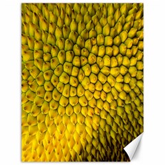 Jack Shell Jack Fruit Close Canvas 12  X 16   by Amaryn4rt