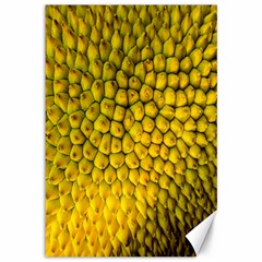 Jack Shell Jack Fruit Close Canvas 12  X 18  