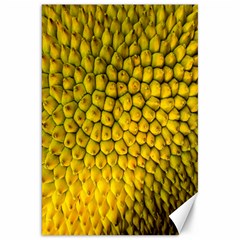 Jack Shell Jack Fruit Close Canvas 20  X 30   by Amaryn4rt