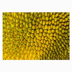 Jack Shell Jack Fruit Close Large Glasses Cloth