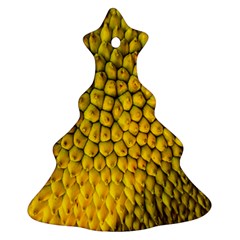 Jack Shell Jack Fruit Close Christmas Tree Ornament (two Sides) by Amaryn4rt