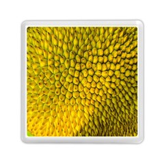 Jack Shell Jack Fruit Close Memory Card Reader (square)  by Amaryn4rt