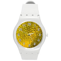 Jack Shell Jack Fruit Close Round Plastic Sport Watch (m)