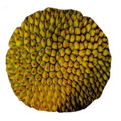 Jack Shell Jack Fruit Close Large 18  Premium Round Cushions by Amaryn4rt