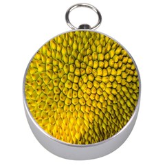 Jack Shell Jack Fruit Close Silver Compasses by Amaryn4rt