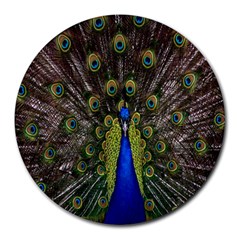 Bird Peacock Display Full Elegant Plumage Round Mousepads by Amaryn4rt