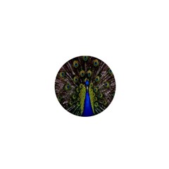 Bird Peacock Display Full Elegant Plumage 1  Mini Magnets by Amaryn4rt