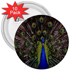 Bird Peacock Display Full Elegant Plumage 3  Buttons (10 Pack)  by Amaryn4rt