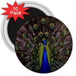 Bird Peacock Display Full Elegant Plumage 3  Magnets (10 pack)  Front