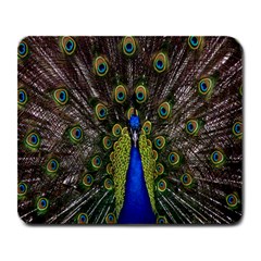 Bird Peacock Display Full Elegant Plumage Large Mousepads by Amaryn4rt