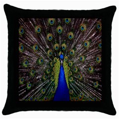 Bird Peacock Display Full Elegant Plumage Throw Pillow Case (black) by Amaryn4rt