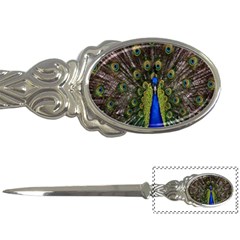 Bird Peacock Display Full Elegant Plumage Letter Openers by Amaryn4rt