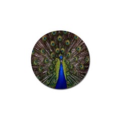 Bird Peacock Display Full Elegant Plumage Golf Ball Marker by Amaryn4rt