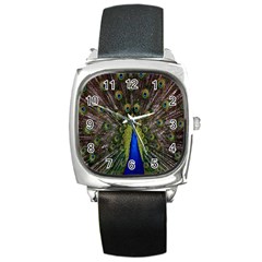 Bird Peacock Display Full Elegant Plumage Square Metal Watch by Amaryn4rt