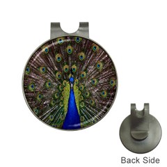 Bird Peacock Display Full Elegant Plumage Hat Clips With Golf Markers