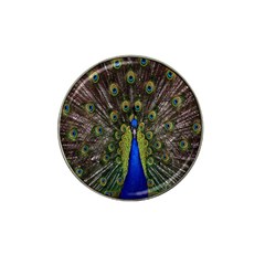 Bird Peacock Display Full Elegant Plumage Hat Clip Ball Marker (10 Pack)