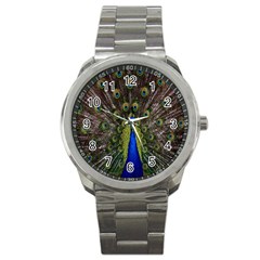 Bird Peacock Display Full Elegant Plumage Sport Metal Watch by Amaryn4rt