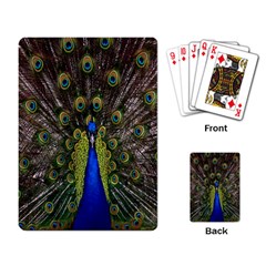 Bird Peacock Display Full Elegant Plumage Playing Card by Amaryn4rt