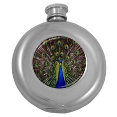 Bird Peacock Display Full Elegant Plumage Round Hip Flask (5 Oz) by Amaryn4rt