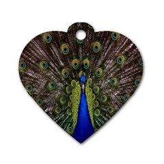 Bird Peacock Display Full Elegant Plumage Dog Tag Heart (one Side) by Amaryn4rt