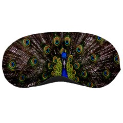 Bird Peacock Display Full Elegant Plumage Sleeping Masks by Amaryn4rt